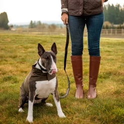 Dog Leash