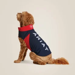 Team Softshell Dog Jacket